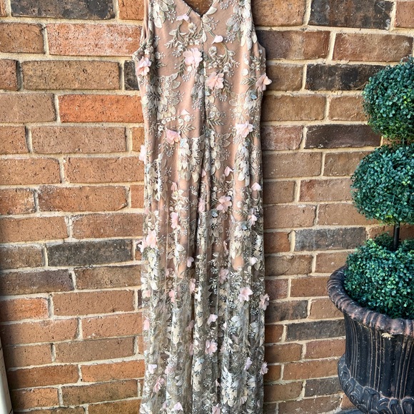 Dress the Population Blush Floral Embroidered Tulle Long Dress - Picture 9 of 16